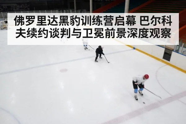 佛罗里达黑豹训练营启幕 巴尔科夫续约谈判与卫冕前景深度观察