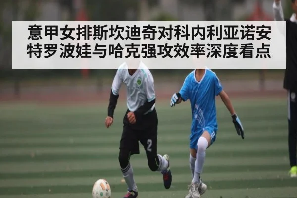 意甲女排斯坎迪奇对科内利亚诺安特罗波娃与哈克强攻效率深度看点